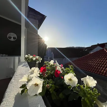 Apartment Airado Casco Historico