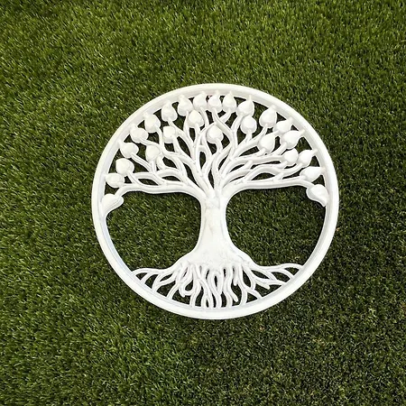 Airado Casco Historico Pontevedra