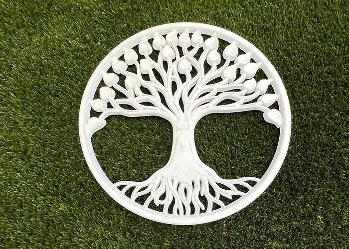 Airado Casco Historico Pontevedra